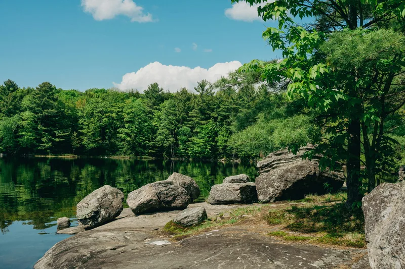 Canadian Shield granite rocks and pine trees beside a forested lake in Muskoka — the terrain typical of Gravenhurst cottage lots